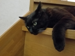 20180627_194956.jpg