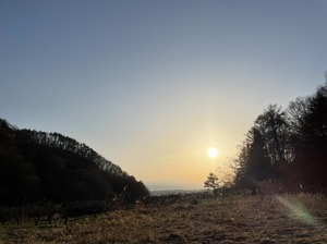 1649502768495.jpg