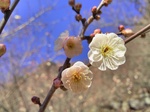 IMG_20160125_101141.jpg