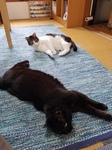 20170506_115353.jpg