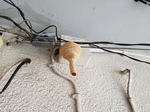 20170522_131938.jpg