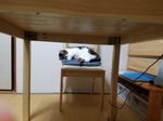 20170524_211135.jpg