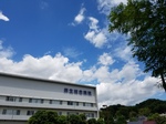 20170601_130333.jpg