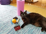 20170615_084547.jpg