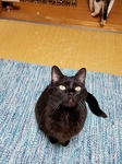 20170617_205504.jpg