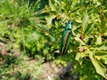 20170720_122815.jpg