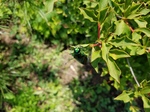 20170720_122802.jpg