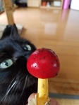 20170814_115849.jpg