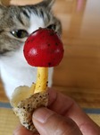 20170814_115822_001.jpg