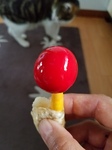 20170814_120021.jpg