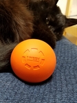20170630_103954.jpg