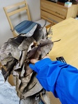 20171028_071057.jpg