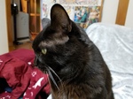 20171129_190928.jpg