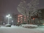 20180122_173933.jpg