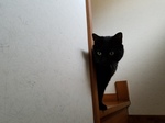 20180219_080205.jpg