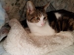 20180219_075809.jpg