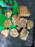 20180504_115401.jpg