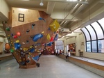 20180618_155236.jpg