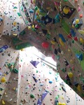 IMG_20190611_203137_457.jpg